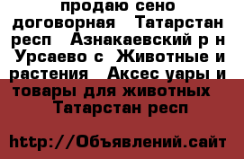 продаю сено договорная - Татарстан респ., Азнакаевский р-н, Урсаево с. Животные и растения » Аксесcуары и товары для животных   . Татарстан респ.